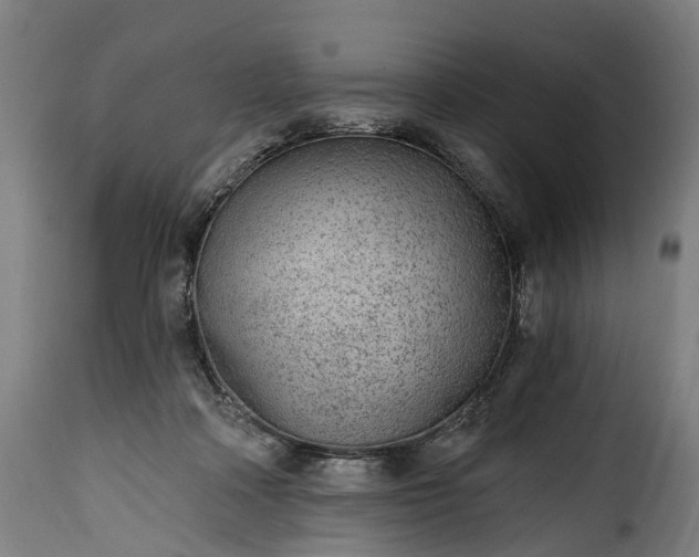 X0000115650314200911241740