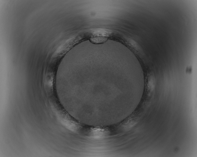 X0000115650315200911241740