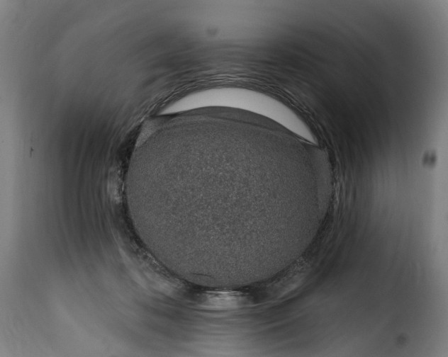 X0000115650316200911241740