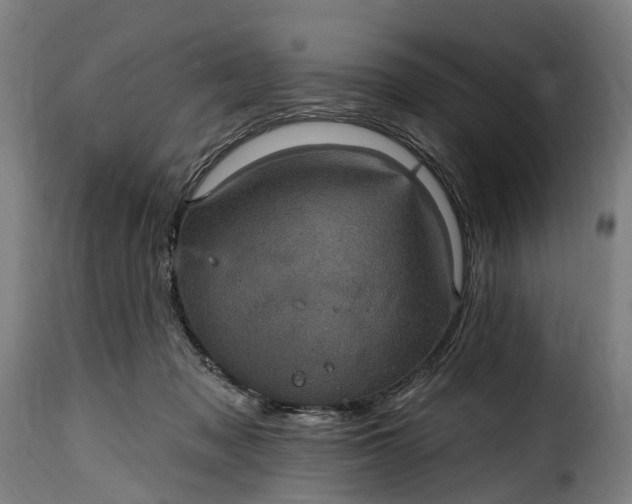 X0000115650317200911241740