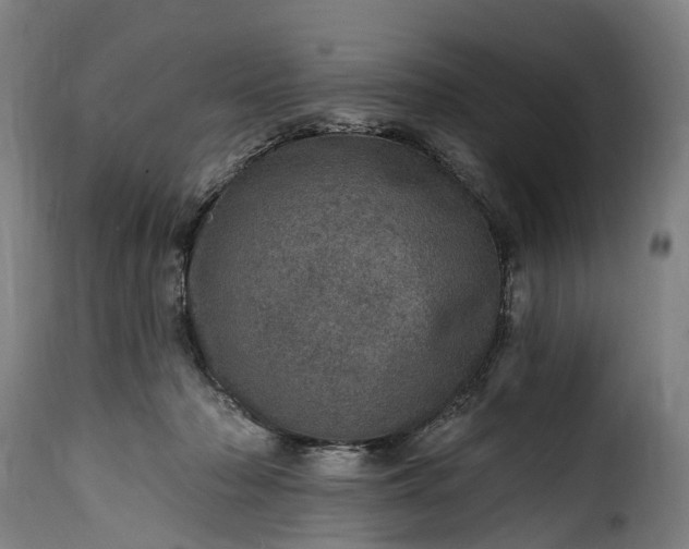 X0000115650318200911241740