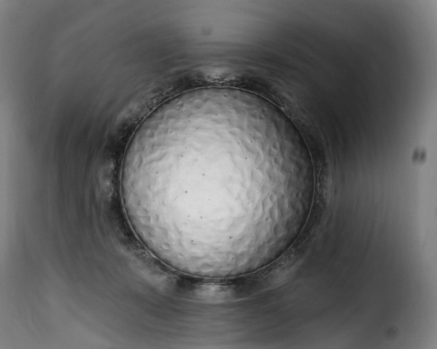 X0000115650319200911241740