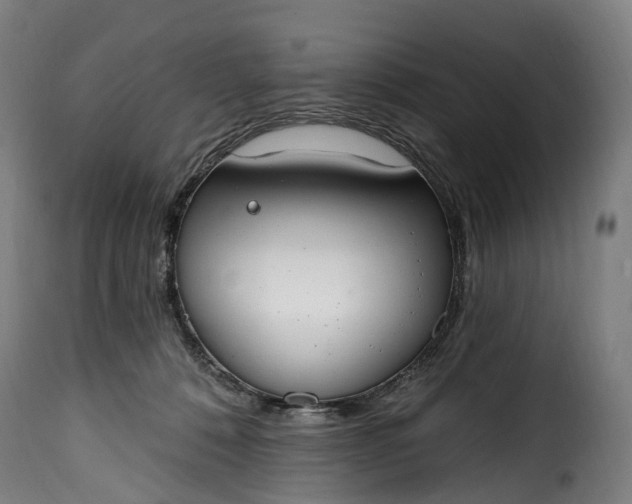 X0000115650320200911241740