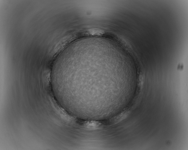 X0000115650321200911241740