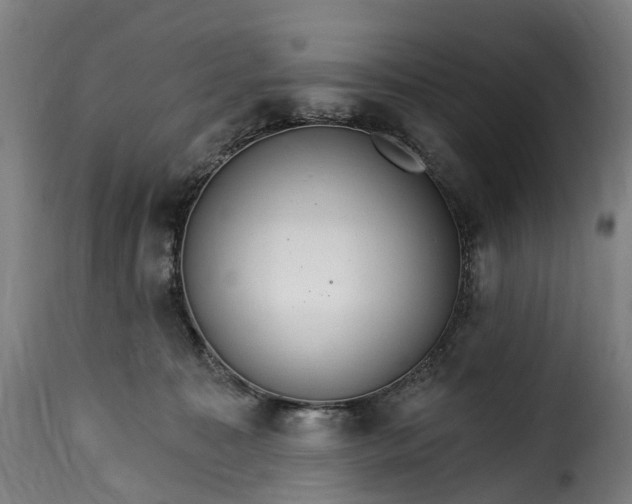 X0000115650323200911241740