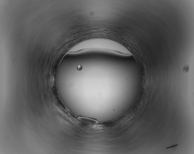 X0000115650324200911241740