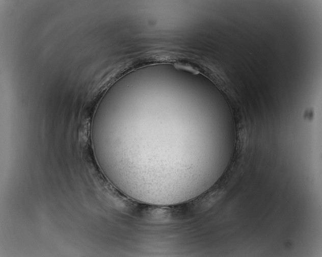 X0000115650325200911241740