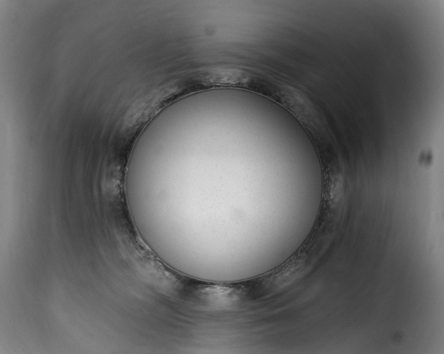 X0000115650326200911241740