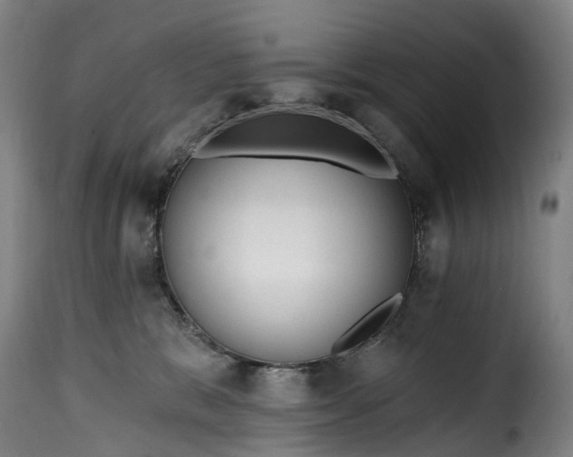 X0000115650327200911241740