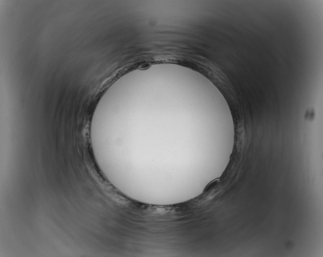 X0000115650329200911241740