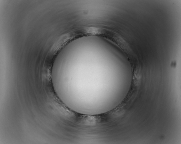 X0000115650330200911241740