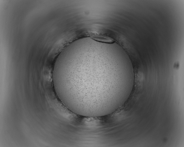 X0000115650331200911241740