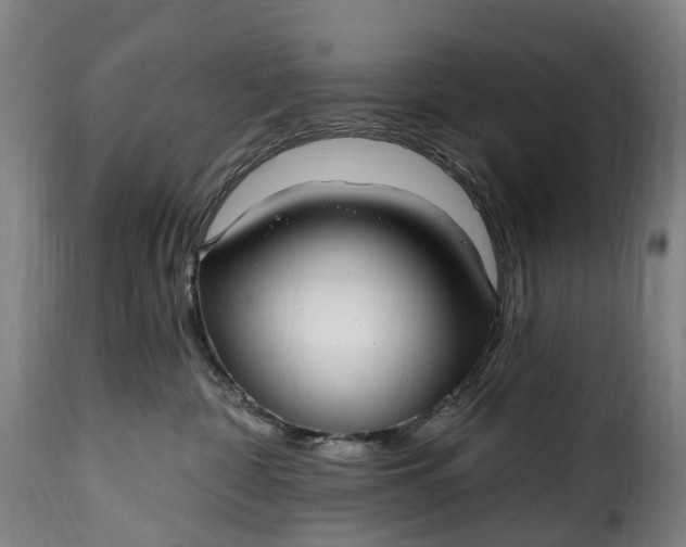 X0000115650332200911241740