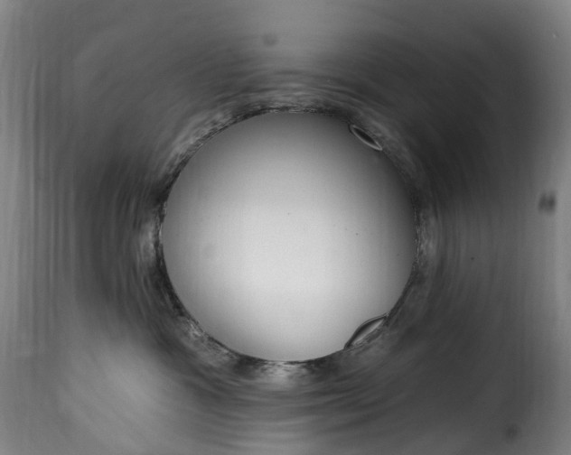 X0000115650333200911241740