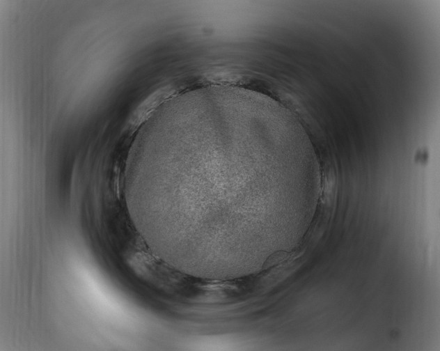 X0000115650334200911241740