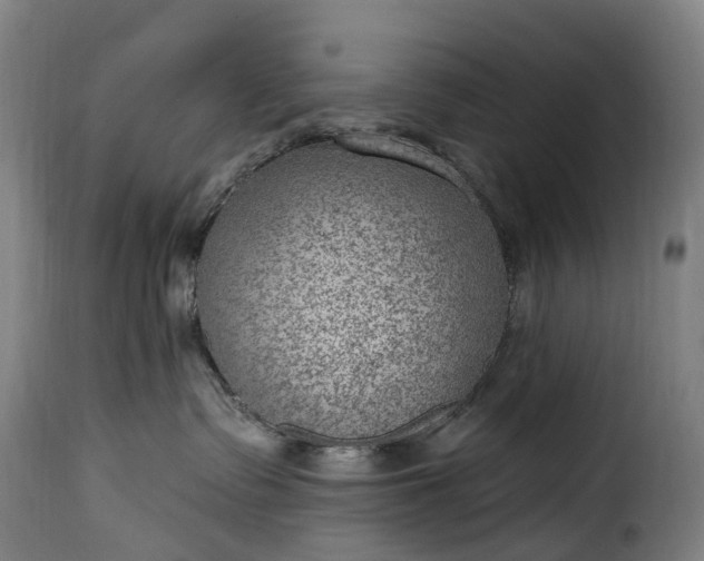 X0000115650335200911241740