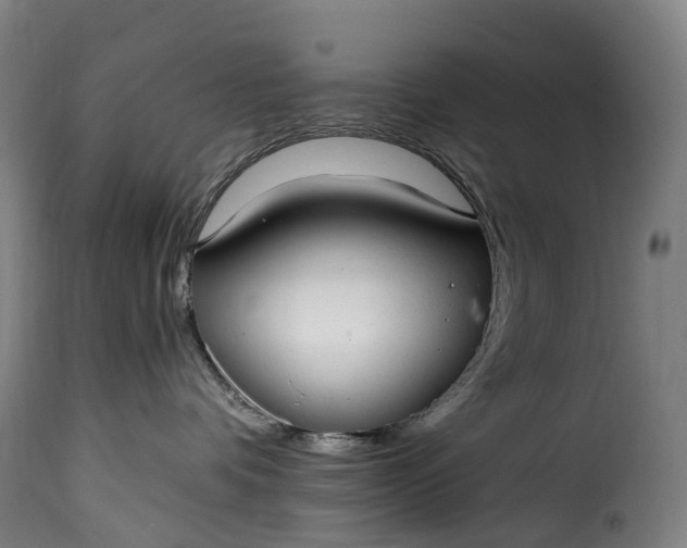 X0000115650336200911241740