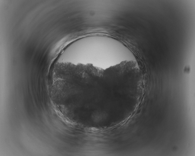 X0000115650339200911241739