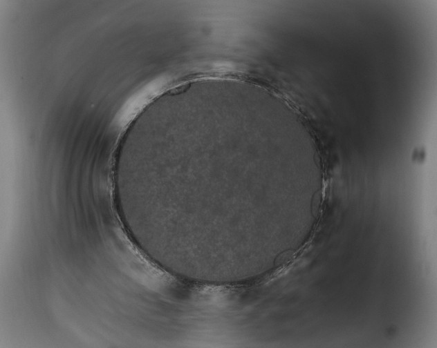 X0000115650341200911241739