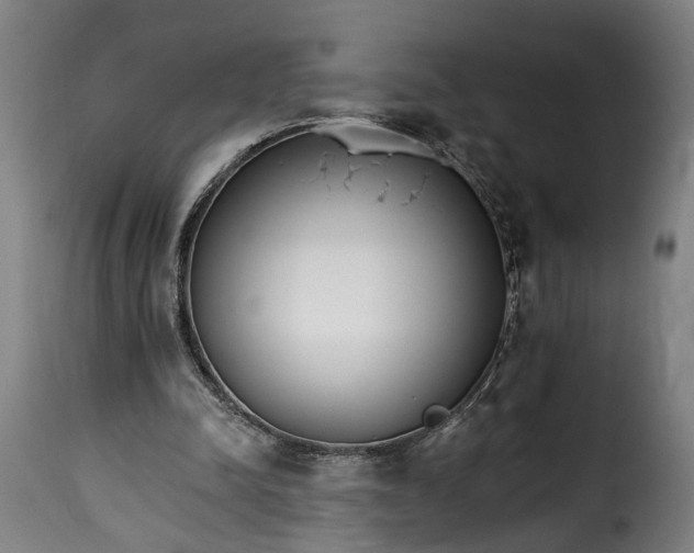 X0000115650342200911241739