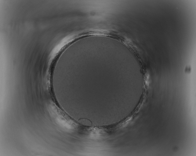 X0000115650343200911241739