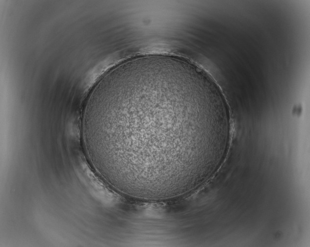 X0000115650345200911241739