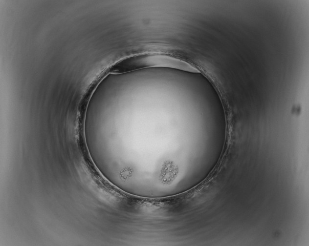 X0000115650346200911241739