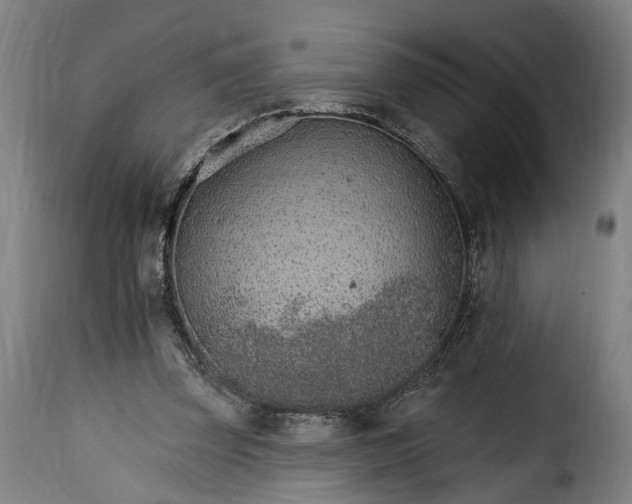 X0000115650347200911241739