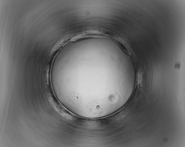 X0000115650349200911241739