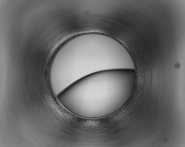 X0000115650350200911241739