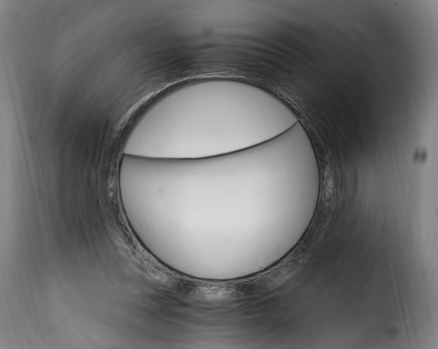 X0000115650351200911241739