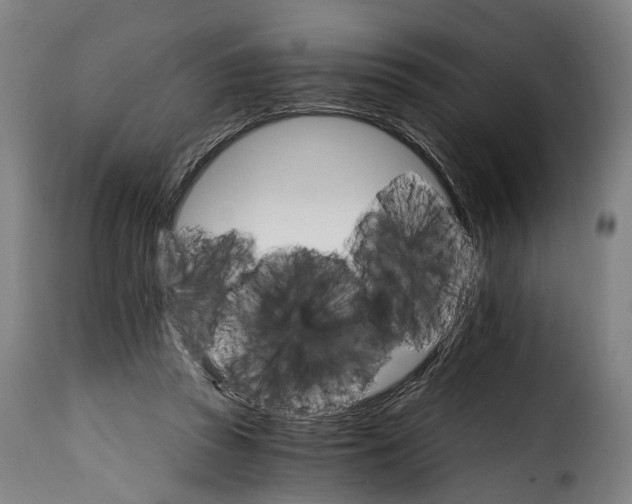 X0000115650353200911241739