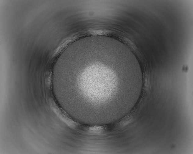 X0000115650357200911241739