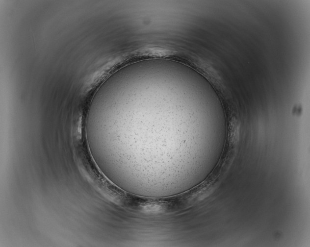 X0000115650358200911241739