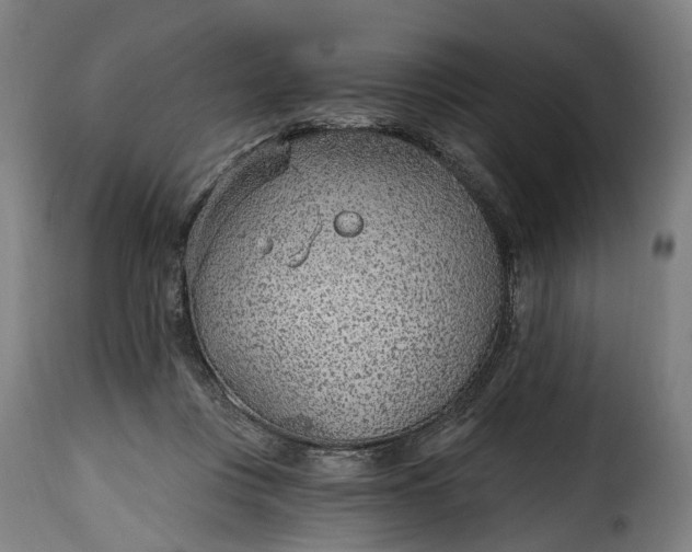 X0000115650359200911241739