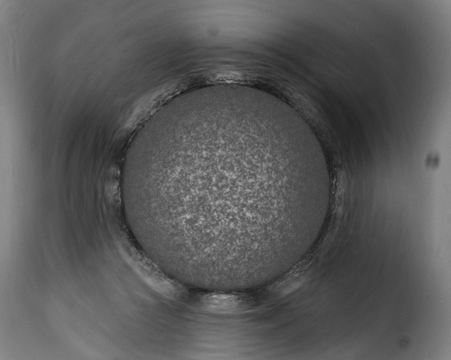 X0000115650361200911241739