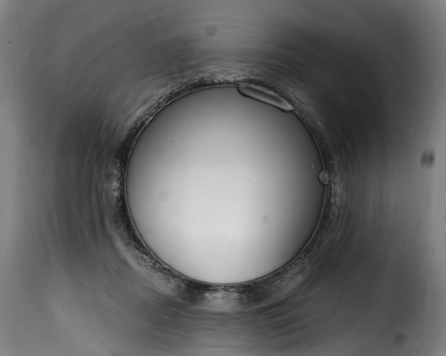 X0000115650362200911241739