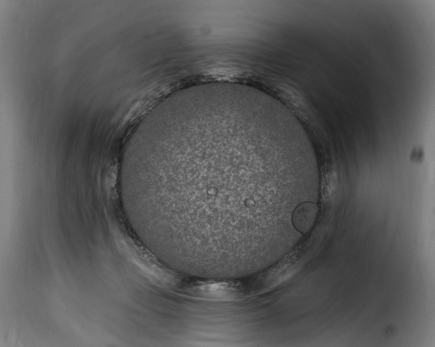 X0000115650365200911241739