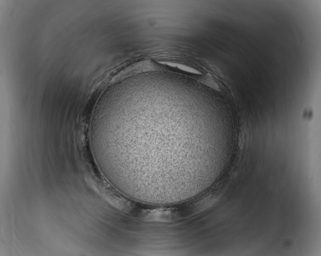 X0000115650366200911241739