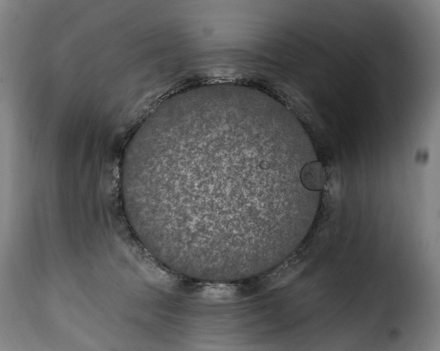 X0000115650369200911241739