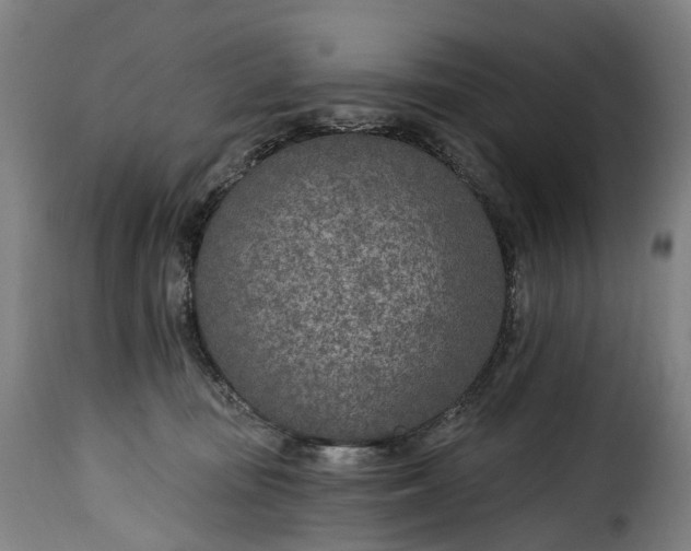 X0000115650371200911241739