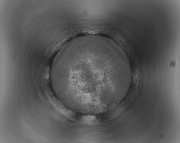 X0000115650374200911241739