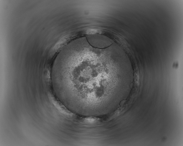 X0000115650375200911241739