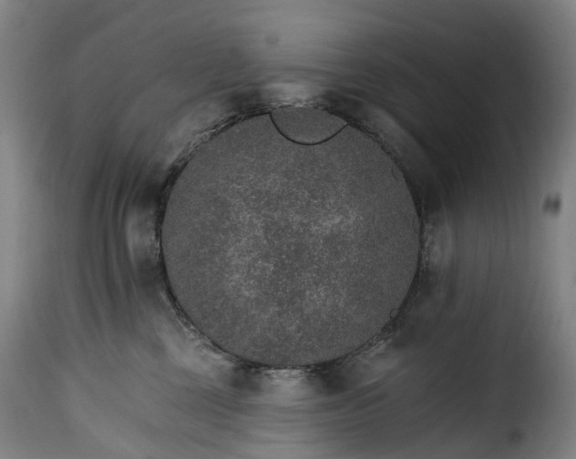 X0000115650377200911241740