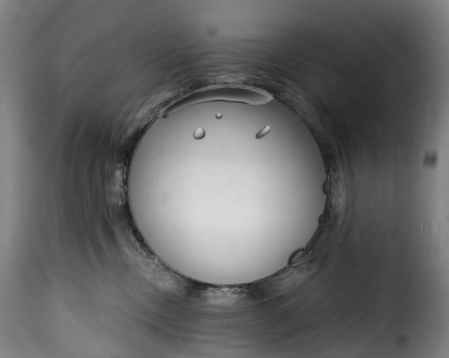 X0000115650378200911241740