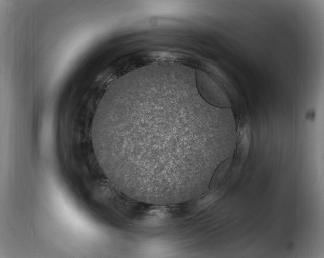 X0000115650381200911241740