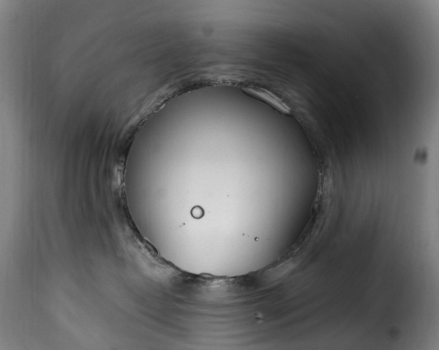 X0000115650382200911241740