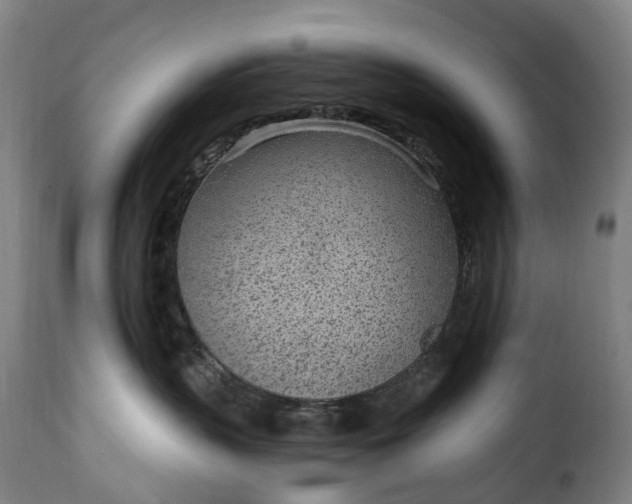 X0000115650383200911241740