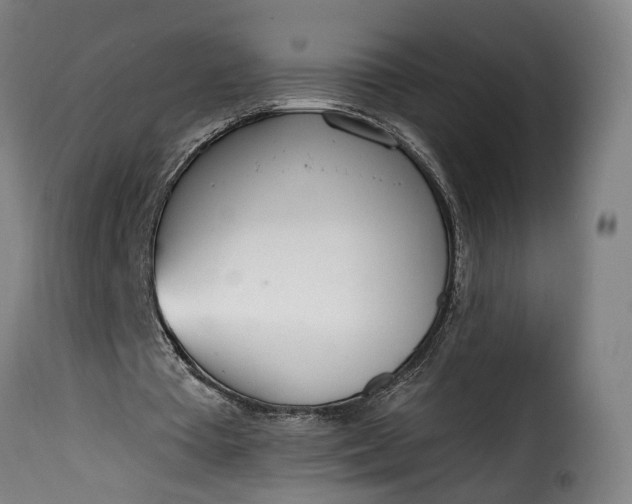 X0000115650385200911241739