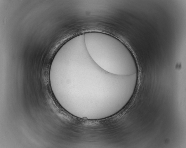 X0000115650386200911241739